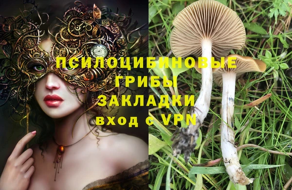 mdpv Алексеевка