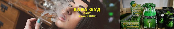 дмт Аркадак