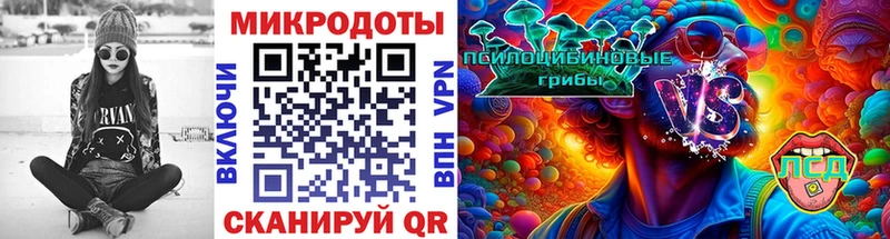 гидра как зайти  Бабаево  Псилоцибиновые грибы Psilocybe 
